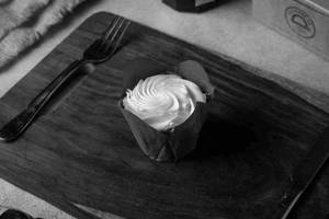 Vanilla Cupcake