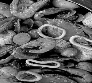 Sea Foods various type of fish