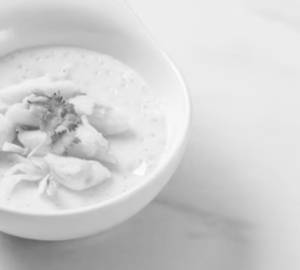 Cream of chicken