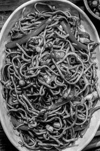 Tandoori Noodles