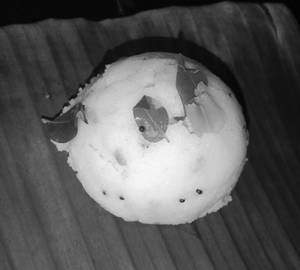 Upma