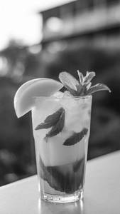 Mango  mojito
