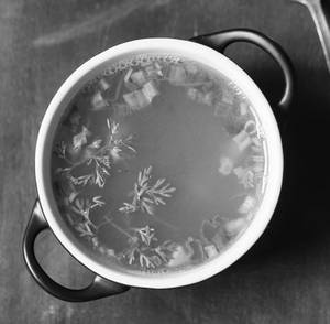 Lemon Coriander Soup