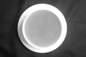 Chicken clear soup