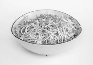 Veg Hakka Noodles