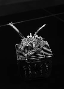 Oriental Grilled Lamb Chop (2 Pieces) (Mc)