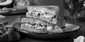 Chicken Cheese Grilled Sandwich