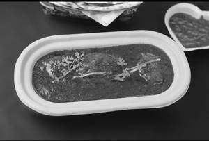 Mutton Rogan Josh