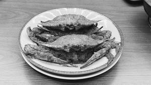 Crab Roast