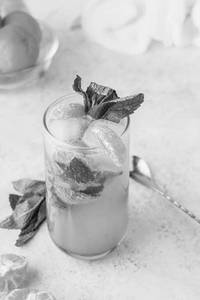 Sugar Free Orange Mojito
