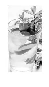 Fresh Lime Soda With Fresh Mint Leaves (250Ml)