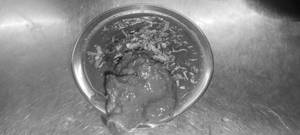 Gosht Rara