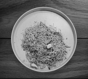 Non veg mixed hakka noodles