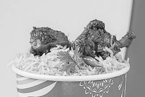 Chicken Fry Biryani - Special Offer Mini Pack
