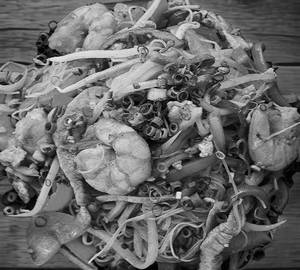 Singapore Noodles