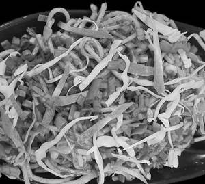 Veg Hakka Noodles
