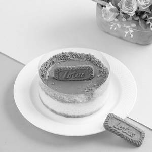 Biscoff Bake Cheese Cake