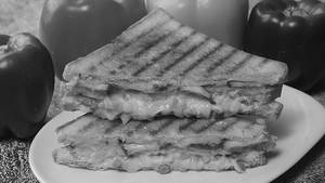 Veg Cheese Grill Sandwich