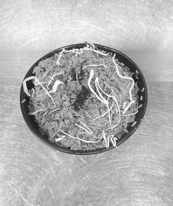 Schzewan Rice
