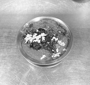 Paneer Maratha