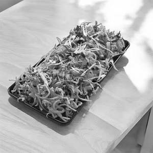 Chinese Bhel Tangy Tangra Style