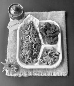 Veg Crispy Schezwan Style & Chinese Bhel