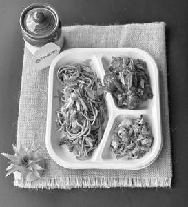 Veg Hakka Noodles & Manchurian Dry