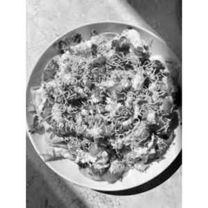 Aloo Papdi Chaat