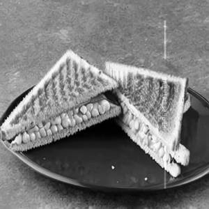 Sweet corn sandwich