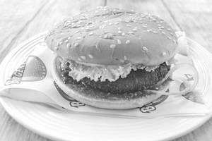 Veg N Crispy Burger