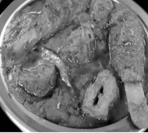 Soya Chaap Korma