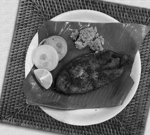 Surmai fry