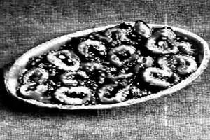 Hot Pepper Mushroom