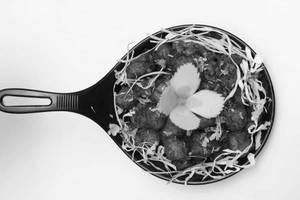 Veg Manchurian