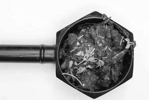 Mutton Fry