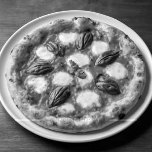 Margherita Pizza