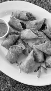 Veg Spring Roll