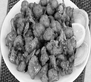 Gobi 65