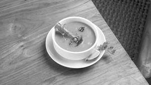 Drumstick Soup Veg