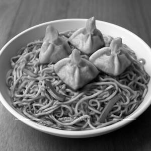 veg wonton fry