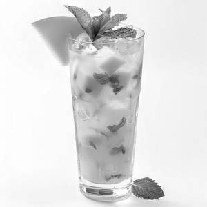 Mango Mint Cooler