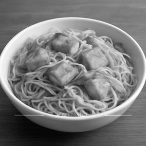 Paneer Hakka Noodles (Half)
