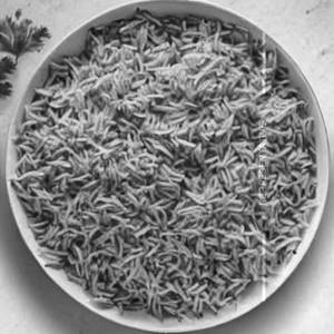 Plain rice