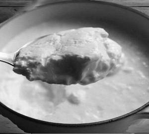 Plain curd