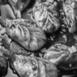 Momos Chicken Hot Garlic