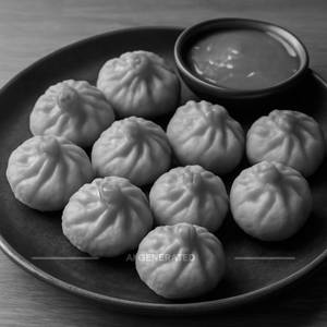 Paneer Momos Fry