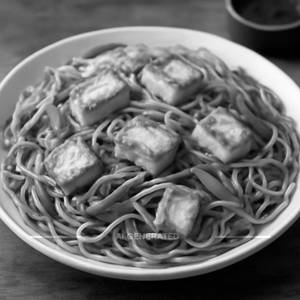 Paneer Hakka Noodles