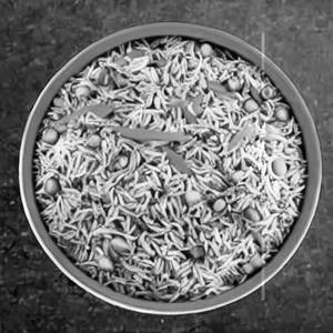 Veg Hakka Rice