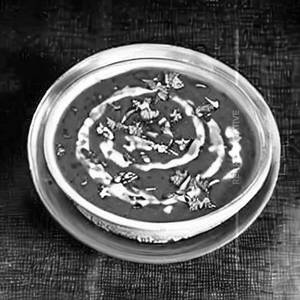 Daal Makhani