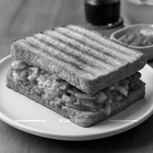 Veg mexican sandwich